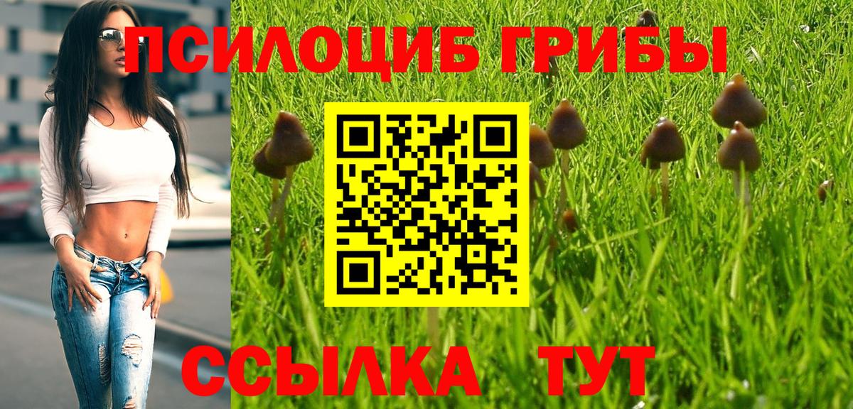 Галлюциногенные грибы прущие грибы Чехов