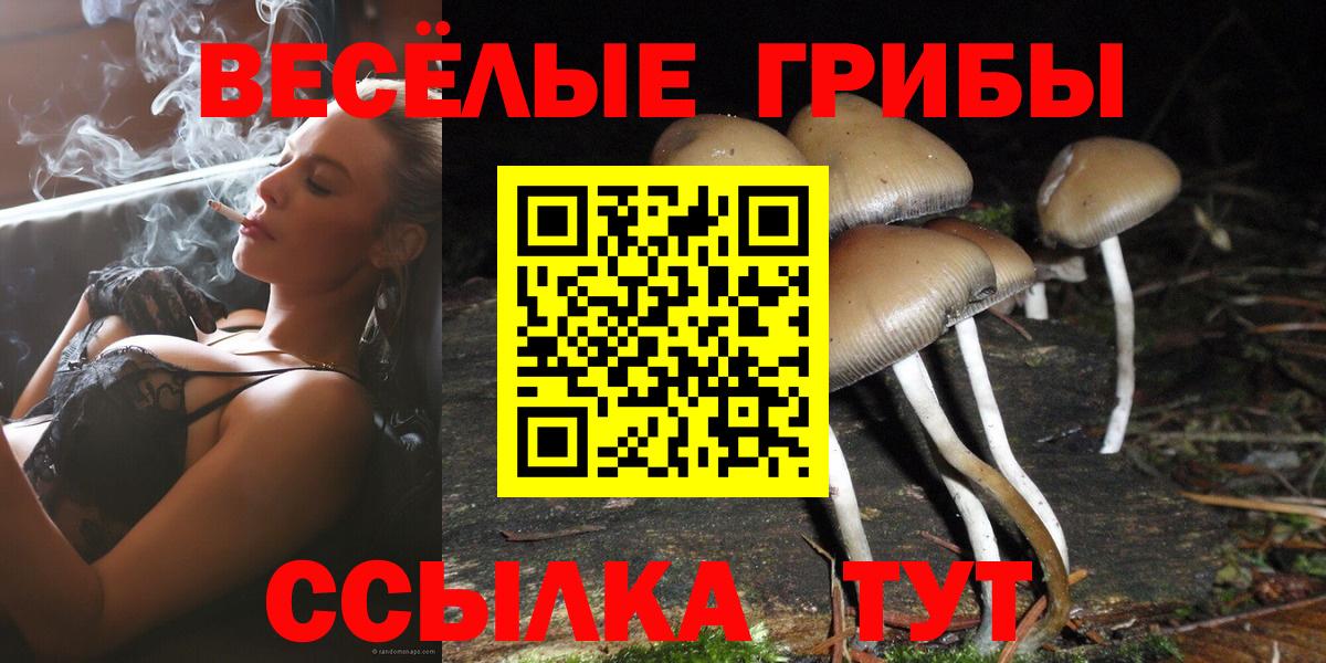 Чехов  Галлюциногенные грибы Cubensis  Псилоцибиновые грибы Cubensis  Вход с VPN 